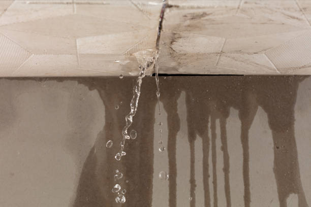 Professional Burst Pipe Cleanup technician working in Kingston, TN